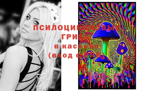 синтетический гашиш Абинск