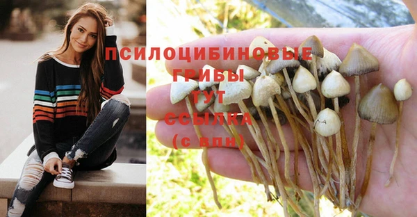 соль курить ск Михайлов
