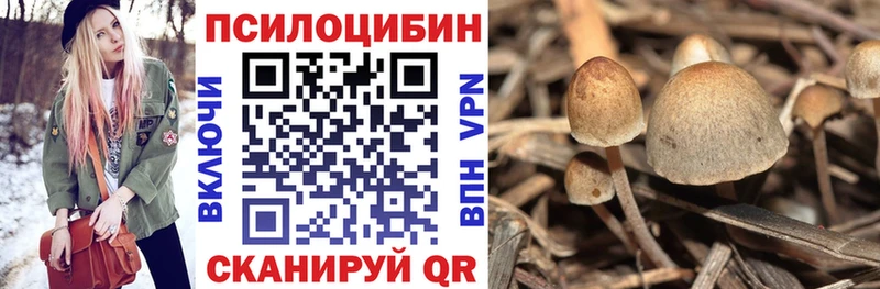 купить   Рязань  Псилоцибиновые грибы прущие грибы 