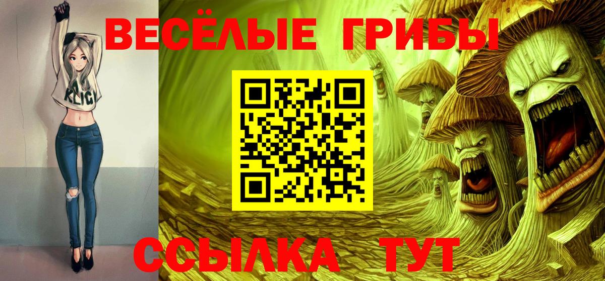 Галлюциногенные грибы Psilocybine cubensis  Вход с VPN  Рязань 